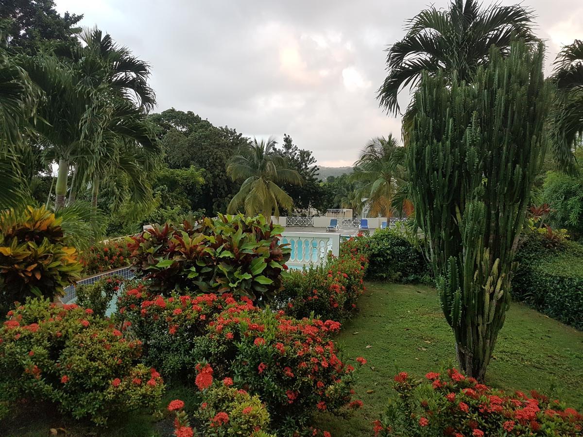 Skycastle Oasis Appartement Ocho Rios Buitenkant foto